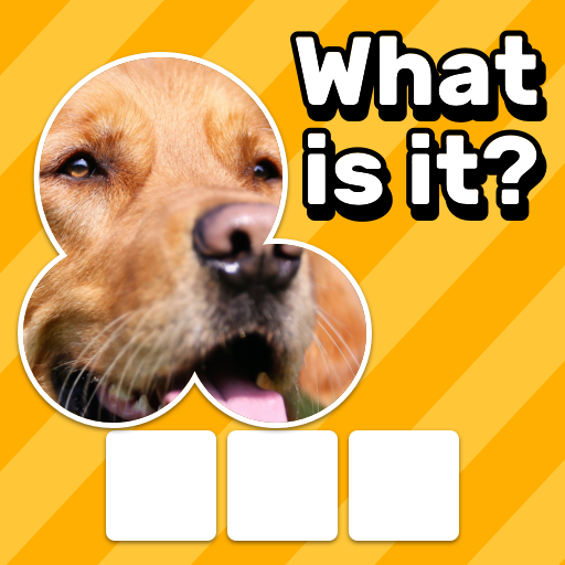 Download Zoom Quiz: Close Up Pics Game for PC Windows 7, 8, 10, 11