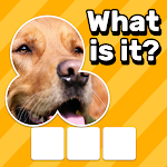 Cover Image of Herunterladen Zoom-Quiz: Spiel mit Nahaufnahmen  APK