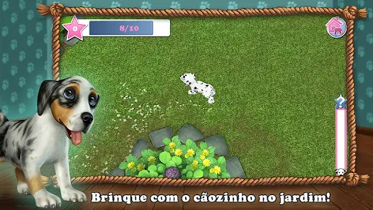 Pet World - Abrigo de animais – Apps no Google Play