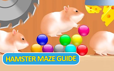 Guide For Hamster Maze:Noob to Proのおすすめ画像2