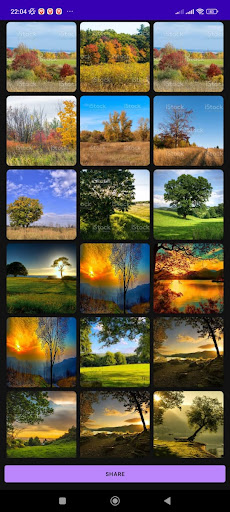 Gallery Screen 2