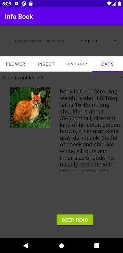 Info Book Screen 2