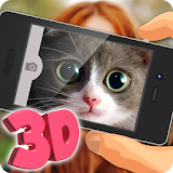 What is your cat? 3D icon