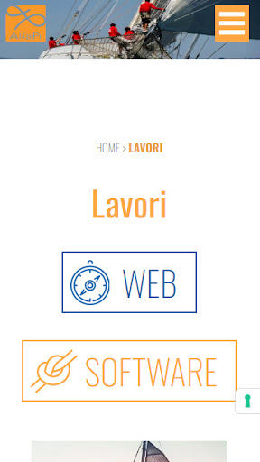 Alfapi Website Screen 2