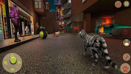 Cat Simulator : Stray Games