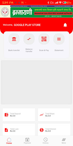 Brammayani Smart Banking Screen 2