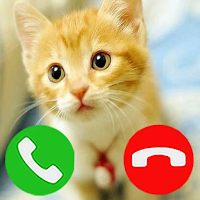 Fake Call from cat game Simulation