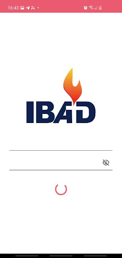 IBad Next Screen 3