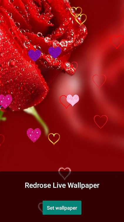 Hoa hồng đỏ là biểu tượng của tình yêu và sự lãng mạn. Hãy ngắm nhìn bức hình được chụp cận cảnh một bông hoa hồng đỏ tuyệt đẹp để cảm nhận sự nồng nàn của tình yêu và những cảm xúc tuyệt vời mà nó mang lại.