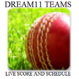 Dream 11 Team & Live Score icon