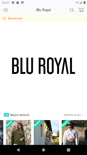 BLUROYAL B2B Screen 3