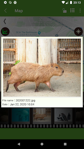 StepWalk Pedometer Screenshot 4 - AppWisp.com