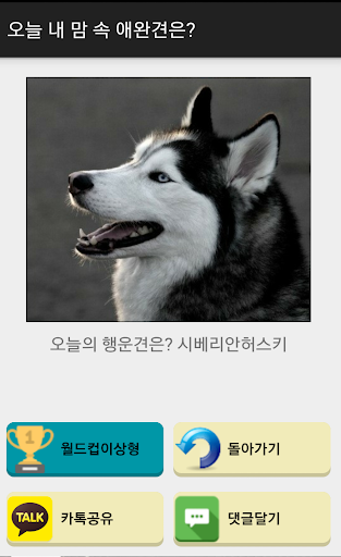 강아지 월드컵 Screen 2