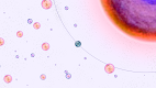 screenshot of Osmos