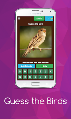 Birds guess - Screenshot 4
