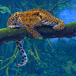 Cover Image of Unduh Jungle Leopard Live Wallpaper  APK