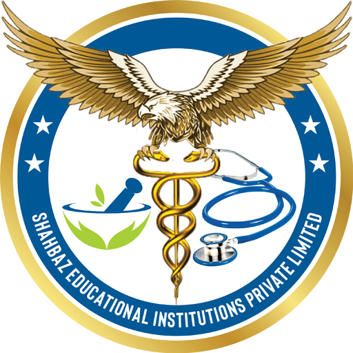 SEI logo