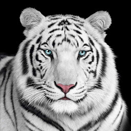 Icon image Tiger Wallpaper