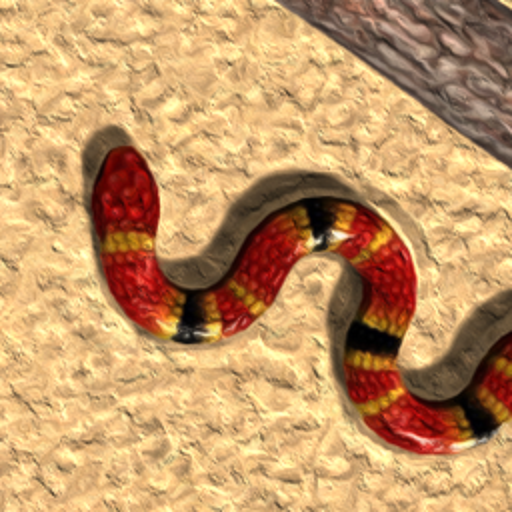 Rainbow Snake - Snake Game - Apps on Google Play