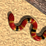 Real Snake