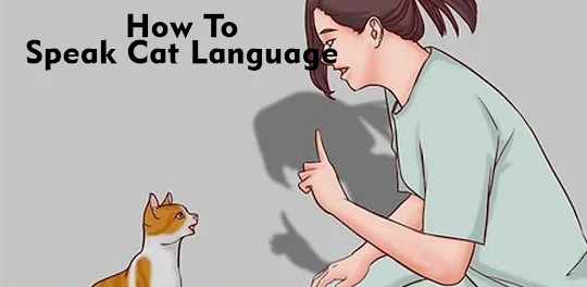How To Speak Cat Language