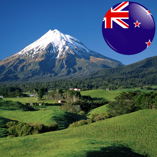 In Sight - New Zealand 1.2 Icon