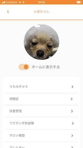 Petcone Screen 3