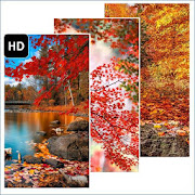Top 25 Lifestyle Apps Like Red Maple Wallpaper - Best Alternatives