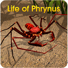 Life of Phrynus - Whip Spider 1.1