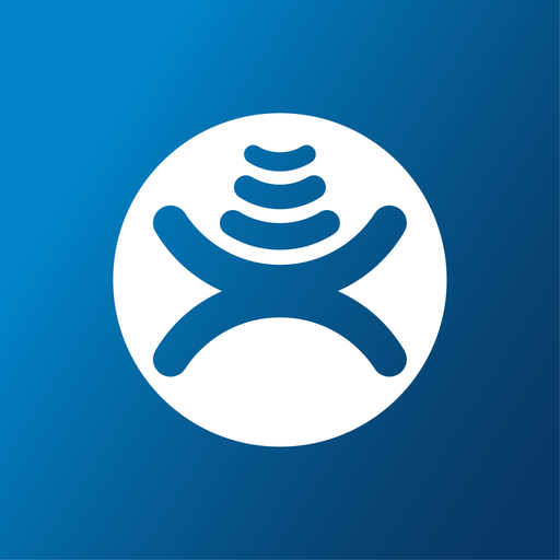 Bluesky POS logo