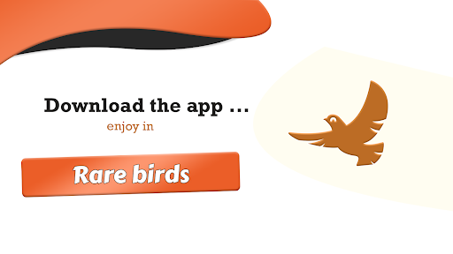Android application Rare birds - discover the rare screenshort