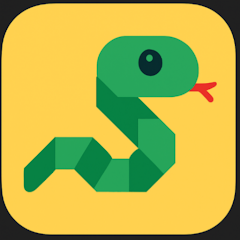 Icon image
