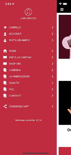 Luigi Drocco Screen 3