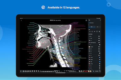 e-Anatomy