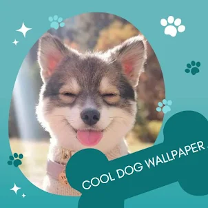 Cool Dog Wallpaper