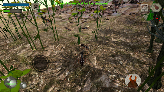 Ant Simulation 3D – Insect Sur 4