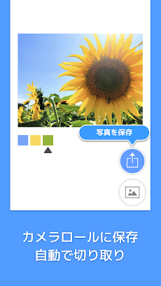 Picolor - 色を抽出できる写真加工アプリのおすすめ画像5
