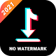Video Downloader for TikTok No Watermark - TikDown Download on Windows