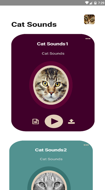 Cat Sounds - 2 - (Android)