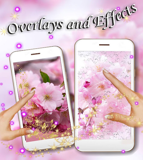 Blossom Cherry live wallpaper