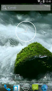 Waterfall in Forest Live Video