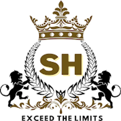 Mr Shady Saber logo