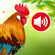 動物の声:動物壁紙 - Androidアプリ