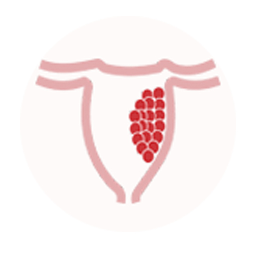 Mola logo