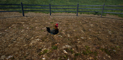 Guide For Ranch Simulator