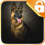 German Shepherd Dog Lock Screen icon