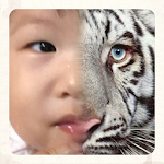 Cover Image of Baixar Animal face - Face Morphing  APK