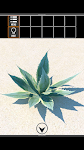 screenshot of EscapeGames: deserted island2