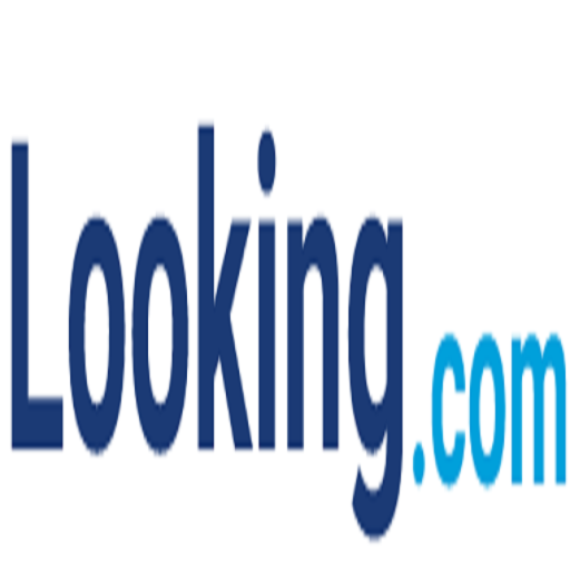 Looking Partners logo