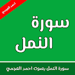 Cover Image of Download surat alnaml - ahmad aleajami  APK